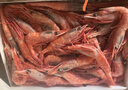 仁豪水产 北极甜虾刺身净重2斤 90-120只/盒 即食冰虾 日料食材 家庭聚餐 实拍图