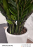 九千谷植物支撑架支撑支架园艺花架阳台爬藤护叶半圆35*70CM 2对装8373 实拍图