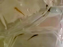 疯狂水草孔雀鱼活体水族宠物观赏鱼冷水耐活小型热带鱼淡水鱼苗 【3CM左右】精品孔雀鱼A 共8条 实拍图