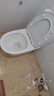 东鹏（DONGPENG） 马桶家用坐便器虹吸式节水隔臭低噪大冲力抽水连体座便器 超漩虹吸大冲力305坑距-W6091 实拍图