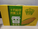 十月稻田 黄糯玉米4.4斤(220g*10根)  东北糯玉米 父亲节礼盒 早餐杂粮 实拍图
