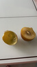 佳沛（zespri）新西兰 阳光金奇异果12粒礼盒特大果单果约122-146g 猕猴桃 水果 实拍图