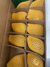 佳沛（zespri）新西兰  阳光金奇异果10粒礼盒巨大果单果约144-175g 水果 猕猴桃 实拍图