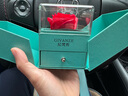 纪梵哲轻奢永恒之心项链女生吊坠手链珠宝纪念日生日礼物送女朋友老婆 白金色·白锆【顺丰/贺卡】 实拍图