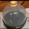 九阳（Joyoung）煮蛋器多功能智能蒸蛋器一键启动 7个蛋量 ZD7-GE130 实拍图