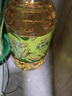 金龙鱼 食用油 非转基因 物理压榨玉米油6.18L（富含植物甾醇） 实拍图