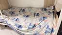 北欧风棋盘格裸睡亲肤被套单件水洗棉机洗斜纹加大单人被罩 史迪仔 200*230CM【单件被套】 实拍图