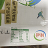 伊利【新鲜日期】纯牛奶整箱 250ml*24盒 优质乳蛋白 实拍图