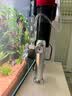 尼特利（NETLEA）过滤器2号壁挂鱼缸外置过滤器小型外挂式过滤器 1号壁挂草缸版 实拍图