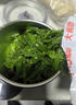 云山半海藻沙拉调味裙带菜200g 日式海藻丝海草丝即食下饭菜凉拌 实拍图