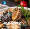 海鲜世家去冰净重鲍鱼仔1斤 60-72粒 家庭聚餐小海鲜煲粥火锅食材 实拍图