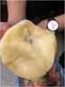 现货顺丰正宗无锡阳山水蜜桃水果桃子生鲜新鲜毛桃礼盒大果16个 8个 小果丨单果3.5-4两丨精选好果 实拍图