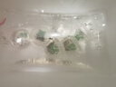 黑壳虾活体观赏花腰虾除藻虾辣椒蟹淡水鱼草缸虾苹果螺清洁虾工具 除藻迷你辣椒蟹6只包活5只 晒单实拍图