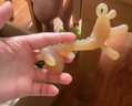马博士 婴儿牙胶磨牙胶棒小蘑菇宝宝安抚玩具0-1岁防吃手牙咬胶3件套 实拍图