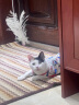 加仕高猫咪玩具逗猫棒幼猫羽毛铃铛宠物玩具伸缩加长钓鱼杆用品 实拍图