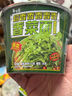 白象 方便面 蟹黄拌面五合一苏式地域风味126g*5包 五连包 方便速食 实拍图