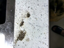 雅彩洁（YACAIJIE）石材渗色清洁剂大理石石英石台面去污清洗剂厨房地板除锈除色去渍 实拍图