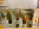 森森 小鲤鱼缸过滤器净水循环三合一内置水族箱过滤系统XQP-500F 6W 实拍图