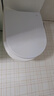 起点如日（QIDIANRURI）【德国】马桶盖通用加厚坐便器盖子家用UV型座厕盖板老式圈器配件 【U型旗舰款】1秒速装-加厚抗压 实拍图