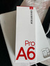 有道词典笔A6Pro 点读笔英语学习神器 电子词典翻译笔扫描笔翻译机单词笔便携式学习机 实拍图