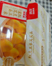 西贝莜面村红豆玉米窝窝头260g*2共16个 粗粮杂粮主食 早餐面点 儿童 包子 实拍图