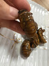 2025新鲜知了猴肉禽菜肴活体金蝉鲜冻蚕大个蝉蛹龟知了爬叉猴特产 【京选中号金蝉】50只现抓现发 实拍图