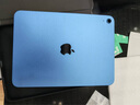 Apple/苹果【国家补贴】iPad 11英寸 A16芯片2025年款 平板电脑 (256GB WLAN版/学习办公娱乐)蓝色 实拍图