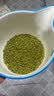 七河源绿豆1.5kg   东北绿豆 3斤/袋 五谷杂粮 粗粮 实拍图