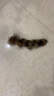 憨憨乐园猫玩具逗猫棒自嗨解闷神器幼猫成猫小猫咪羽毛玩具宠物用品 HL 实拍图