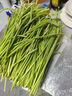 京喜自营新鲜蒜苔现采现发生鲜蔬菜京东超市同款即食蒜苔 新鲜蒜苔 3斤 实拍图