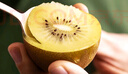 佳沛（zespri）新西兰阳光金奇异果原箱 16粒巨无霸 单果重约202-230g   猕猴桃 实拍图