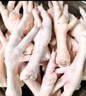 圣农 鸡长爪 净重2斤 冷冻 白羽鸡卤鸡爪柠檬鸡爪食材 烤鸡爪 清真 实拍图