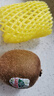 佳沛（zespri）绿奇异果10个装 宝宝果单果约77-89g 水果猕猴桃包邮 实拍图