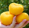 京鲜生 河北辛集白玉皇冠梨 净重4.5斤 单果250g+  生鲜水果 源头直发 实拍图