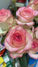 【玫瑰花】特价云南鲜花直发节日鲜花礼物花束水养插花七夕礼物 爱莎玫瑰10枝 实拍图