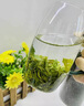 正宗胖东来超市茶叶 (特级头采毛尖)茶叶绿茶新茶明前头采特 特级头采毛尖一罐装250克 实拍图
