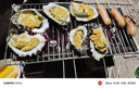 龙味福【活鲜】生蚝 乳山牡蛎 新鲜海蛎子生鲜贝类 【只只精品】XL带箱5斤(25-30只) 实拍图