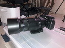奥之心（OM SYSTEM）M.ZUIKO DIGITAL ED 100-400mm F5.0-6.3 IS II 远摄变焦镜头 奥林巴斯微单镜头 实拍图