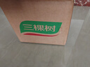 三棵树漆瓷砖修复胶空鼓专用强力粘合剂地砖起翘修复填充瓷砖修补胶 500g 实拍图