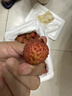 桂味荔枝新鲜现摘现发10斤广东增城应季水果当季整箱大果时令鲜果 5斤 【桂味荔枝】肉厚核小~桂花香味~ 实拍图