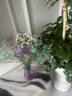 爱满（AIMAN）满天星天然干花花束ins网红生日 新房装饰摆件风干真插花家居摆设 紫+白+宝蓝满天星  【带M款花瓶】 实拍图