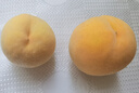山东青州蜜桃新鲜桃子毛桃甜桃青桃硬桃孕妇脆甜应季水果冬雪 优选3斤【单果100g+】净重2.6斤 实拍图