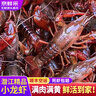 百味殿湖北潜江自产自销清水稻田鲜活小龙虾5斤装大虾超大（干净免刷） 【满黄满肉】789大号五斤-(16-20只）/斤 实拍图