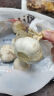 紫白皮蒜水果大蒜超市即食生鲜蔬菜大蒜 干大蒜5头 100g 单果3.5-5cm 实拍图