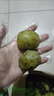2025新鲜核桃现摘薄皮青皮核桃现摘现发左权 1斤 实拍图