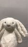 Jellycat害羞乳白色邦尼兔动物毛绒玩偶安抚玩偶娃娃新年生日礼物 害羞乳白色邦尼兔 Small 实拍图
