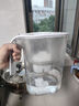 飞利浦（PHILIPS）净水壶滤水壶过滤水壶净水器滤水器过滤器滤芯 AWP2814白色【4.2L】十三芯装 实拍图