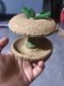licheers金丝熊磨牙苹果核仓鼠磨牙棒粮食营养零食鼠粮磨牙饲料 实拍图