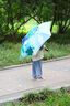 kocotreekk树儿童雨伞自动伞男生女生小学生圆角卡通幼儿园 恐龙世界 实拍图