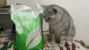 宠洁优【囤货省】纯木薯猫砂植物净尘抗粘底除臭秒结团2.5kg*12包 实拍图